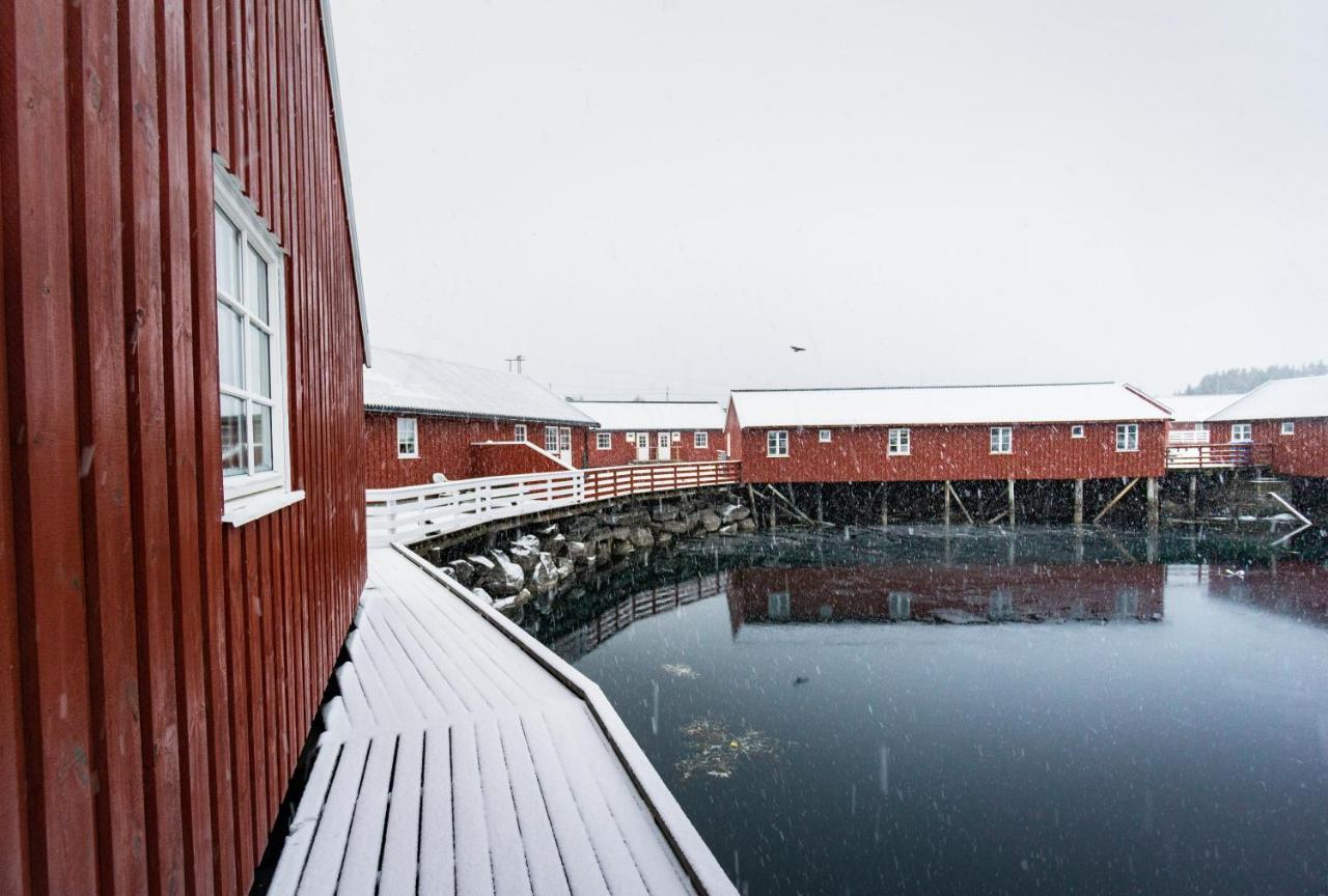 Lofoten Cabin And Kayak Rental Stamsund Esterno foto