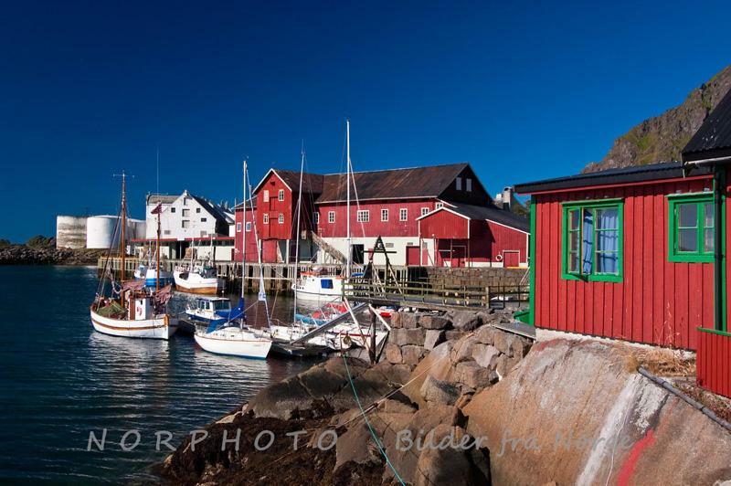 Lofoten Cabin And Kayak Rental Stamsund Esterno foto